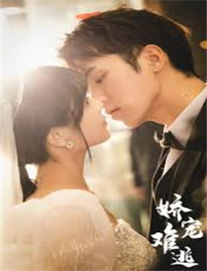 当年树梢高高挂的时候