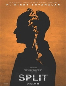 札幌冬季奥运会