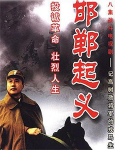 12只蚊子和5个人