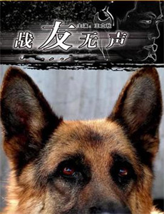 一枝光棍走天涯